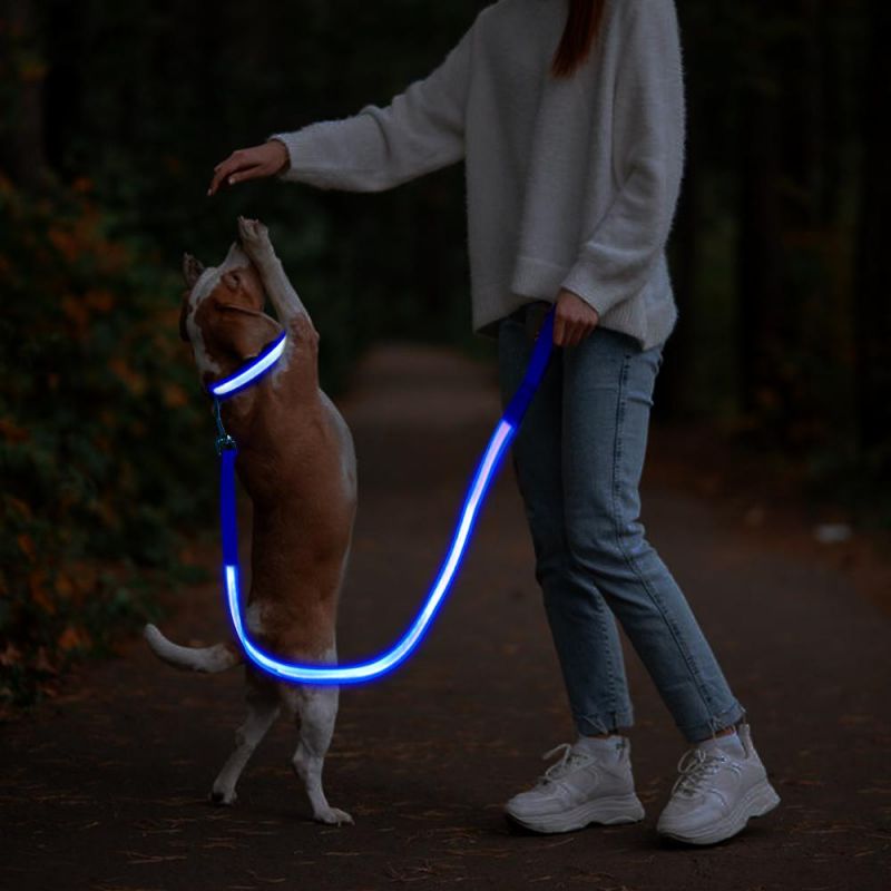 Double Stripe LED Dog Leash USB Charging