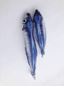 Size M 3D Saury Stuffed PP Cotton Plush Toy Cat Toys Baby Toy for Cat