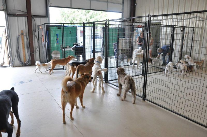 Heavy Duty Custom Indoor / Outdoor Dog Boarding Kennels.