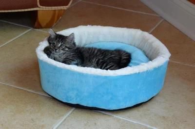 Pet Self Warming Beds Ez Cleaning Cozy Kitty Nest