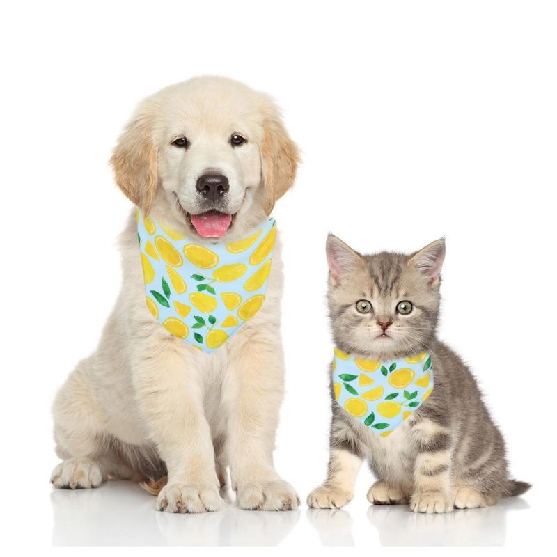 Factory Supply Watermelon Fruit Pet Bandana Wholesale Cartoon Dog Bandanas