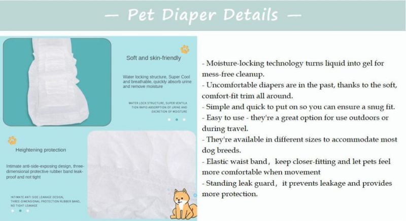 Comfortable Pet Products Non-Woven Top Sheet Pet Diaper