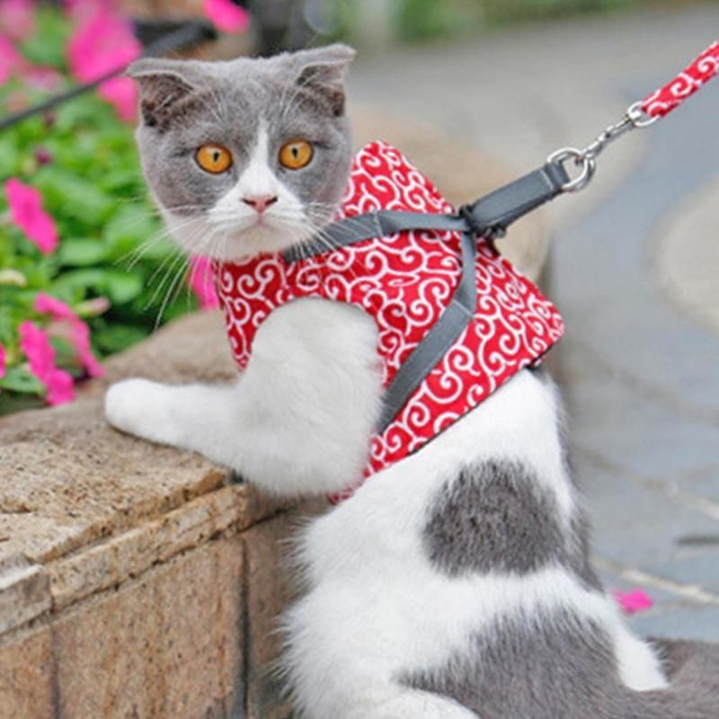 Wholesale Price Japanese Style Kitten Pet Products Supply Dog Leash Cat Harness Vest