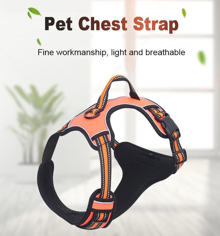 New Outdoor Padded, Solid Color Sport Safety D Ring Small Medium Large Dog Harness