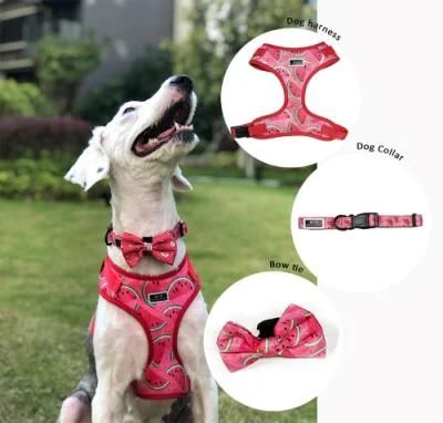 Personalized Cute Designer Dog Harness and Leashes Set Adjustable Custom Logo/Pet Products
