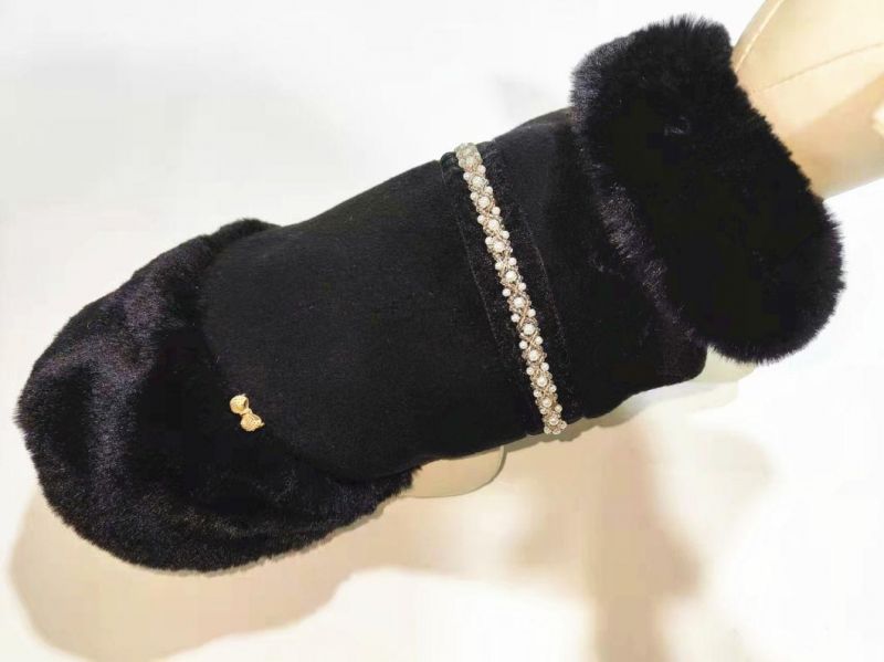 Luxury Lady Pet Products Buying Office Fashion Designer Dog Clothes