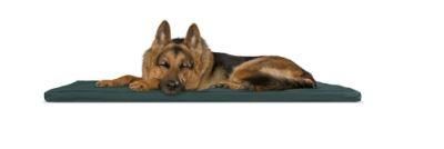 Reversible Two-Tone Water-Resistant Crate or Kennel Foam Mat Pet Bed