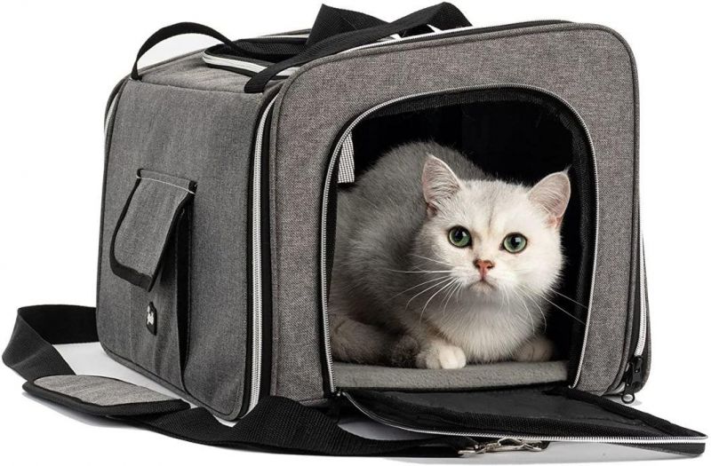 Big Factory Hot Selling Pet Airline Approved Carrier Bag Collapsible Cat Travel Bag