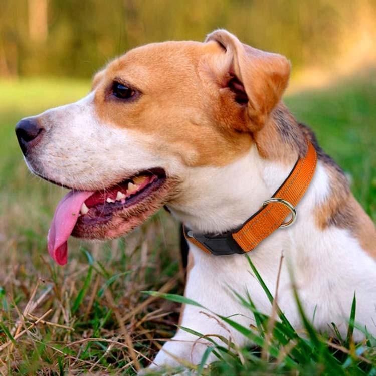 Classic Two Reflective Silk Nylon Dog Collar Soft Neoprene Padded Breathable Pet Dog Collar Adjustable