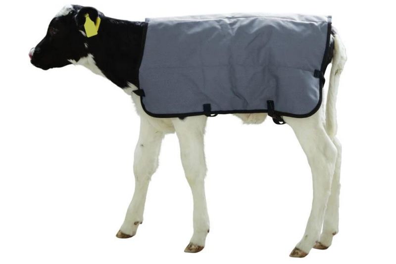 Warming Calf Cover Blanket Livestock Blanket