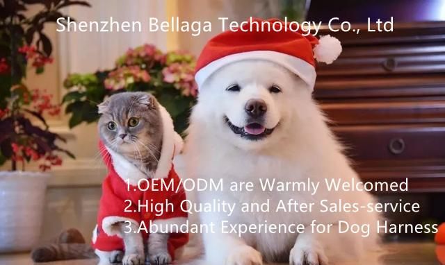 Manufacturer Price Latest Customed Ajustable Slider Dog Clothing