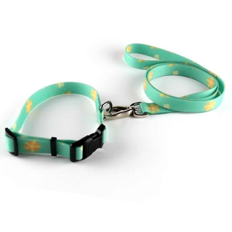 Top Manufacturer Factory Waterproof Dog Collar and Leash Printing Design
