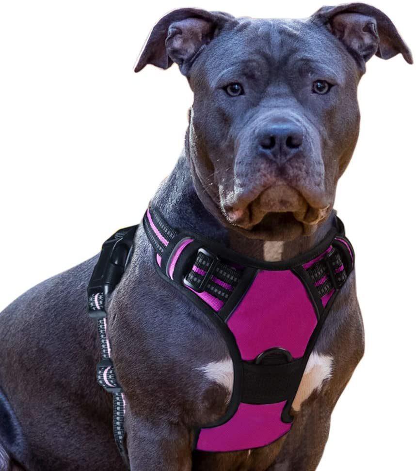 Adjustable Reflective Breathable Oxford Soft Dog Harness Easy Control Front Clip for Small Medium Large Dogs