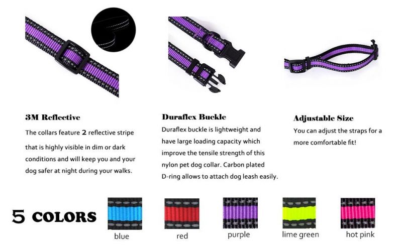 Nylon Webbing Pet Strap Light Weight Reflective Dog Collar