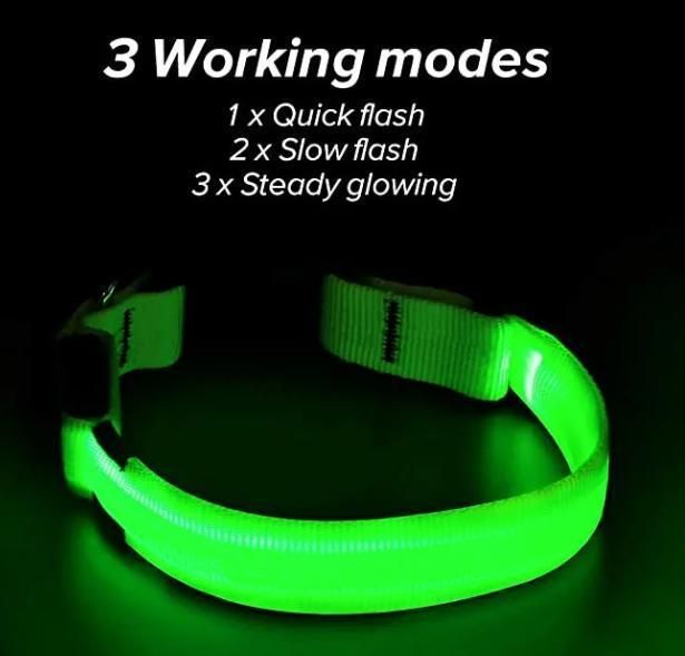 New Arrival Night Safety Flashing Flashing USB Cable Adjustable Rechargeable Glow Light up LED Pet Dog Collar for Animals