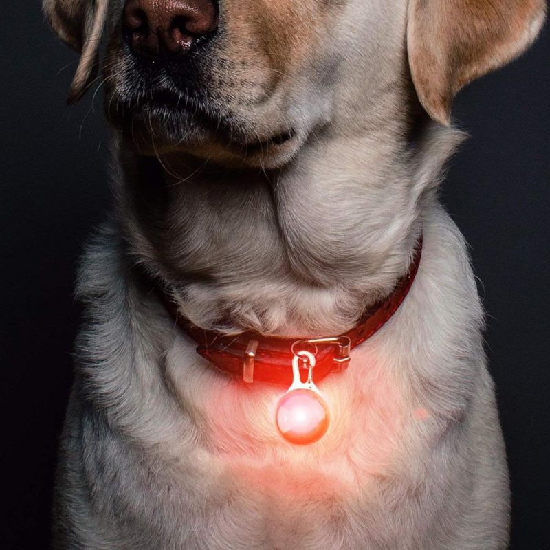 Clip-on Pet Dog Collar LED Light Dog Lights for Collars Waterproof Safety Lights of Dogs and Cats for Night Walking