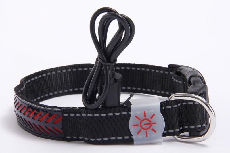 Best Selling Carved Leather Flashlight Nylon Strip Pet Glow Battery or USB Rechargeable LED Dog Collar