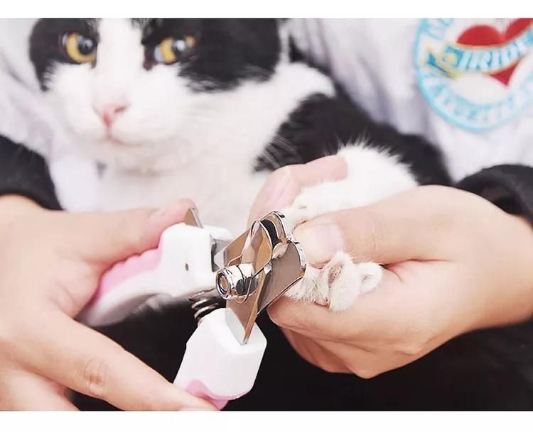 Pet Supplier High Quality 6in Dog Cat Nail Clippers Sets Ss Pets Nail Scissors Set