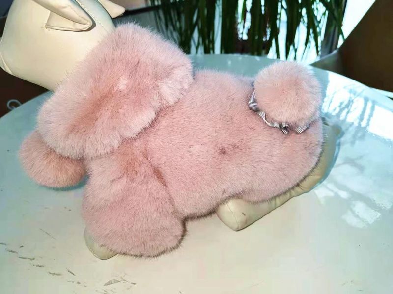 Luxury Pet Products Pet Accessories Dog Clothes Dog Clothing Designer Clothes Luxury
