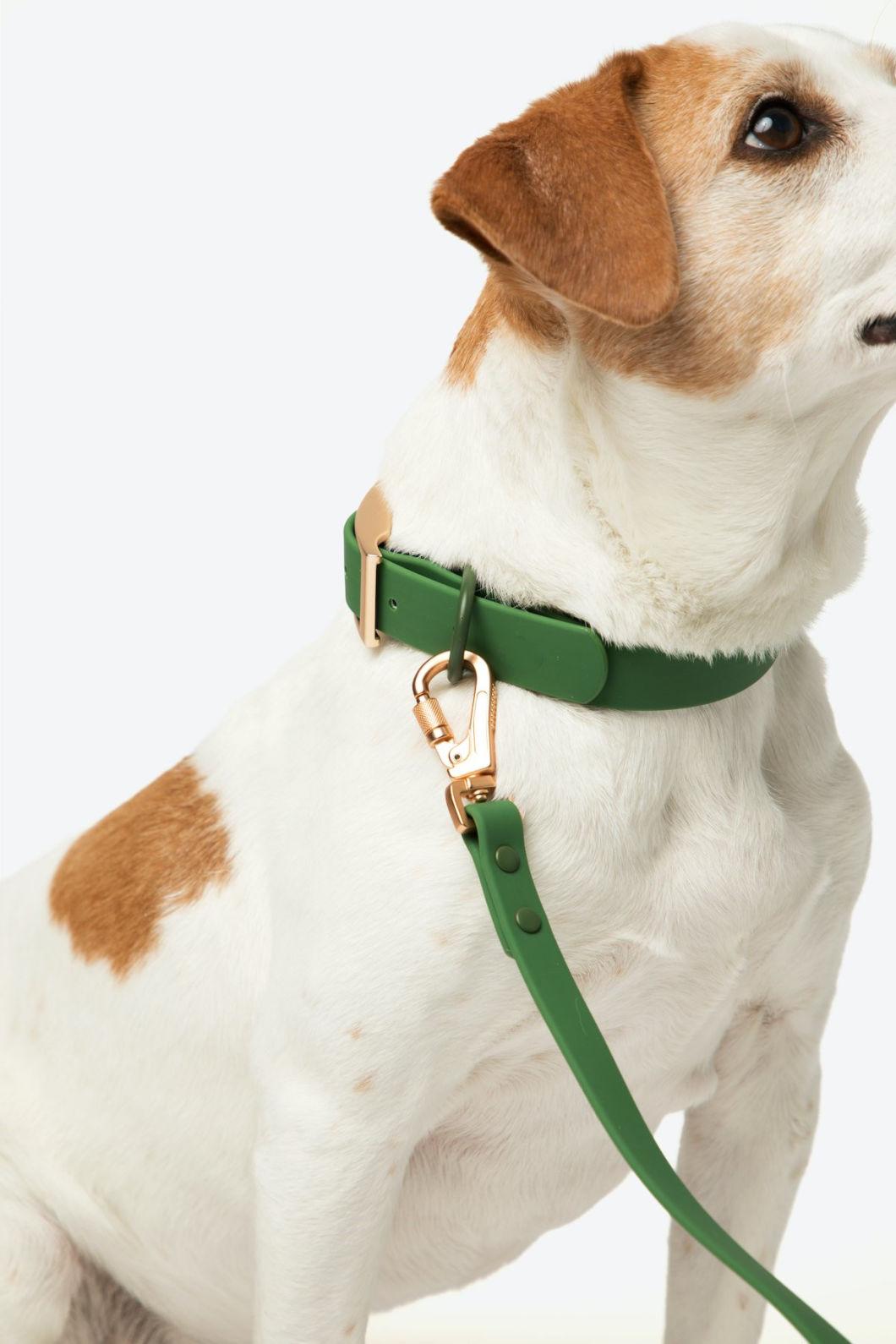 Waterproof Everyday Dog Collar Leash with Poo Bag Holder