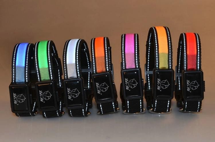 Wholesale Customized Chargeable Flashing Puppy Collar Pets Dog Collar LED