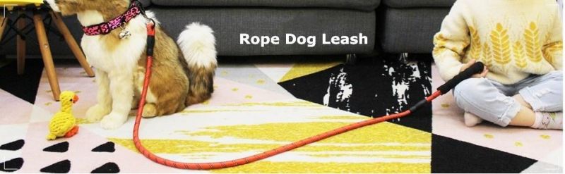 Comfortable Padded Handle Reflective Slip Leash Lighted Dog Leash