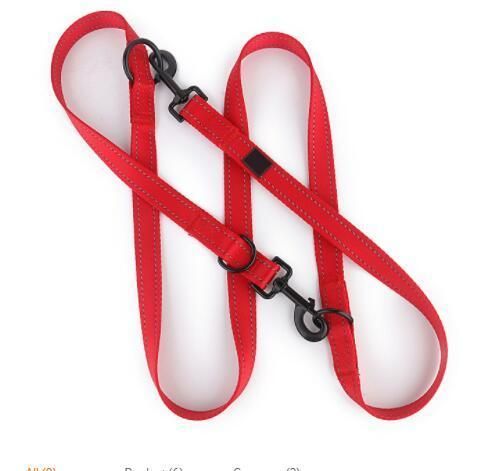 Five Uses Adjust Nylon Dog Leash Multifunctional Dual Dog Leash with Two Hooks