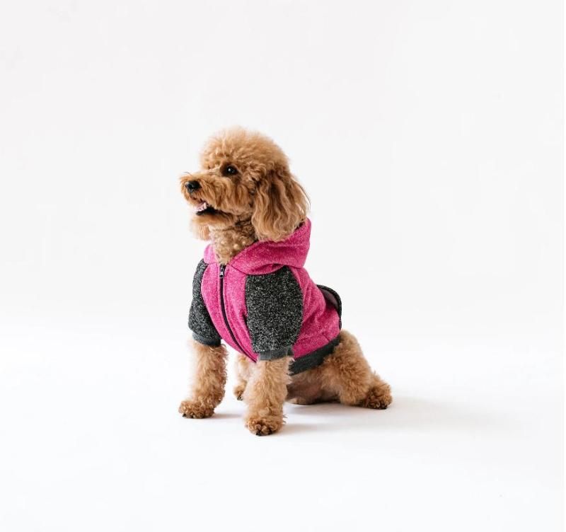 Wholesale Soft Colorful Sport Cotton Pet Apparel Dog Sweater Hoodie