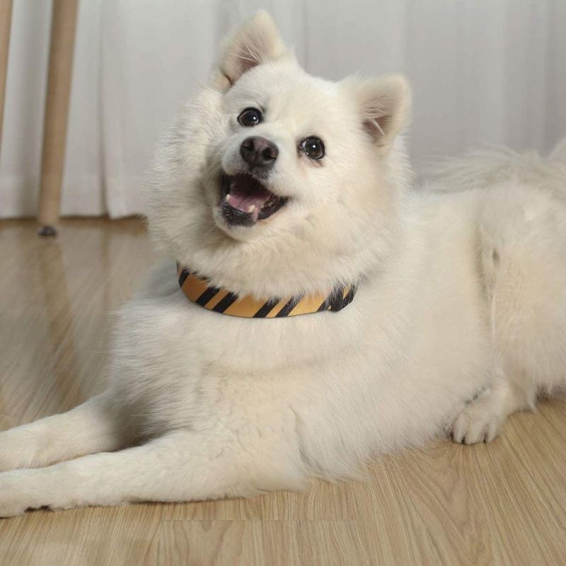 Nylon Fabric with High Density Webbing Halloween Dog Collar