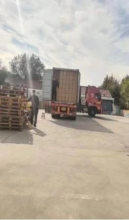 Cat Litter Suppliers Wholesale Cats Litter for Select Tofu Cat Litter
