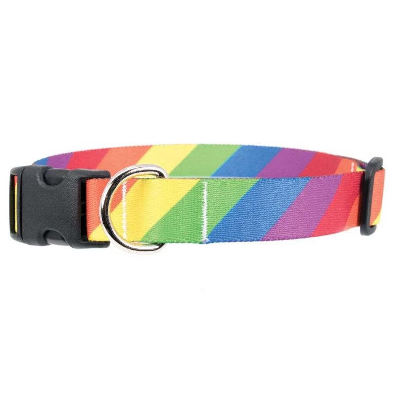 Manufacturer New Design Rainbow Arches Dog Collar Hot Transfer Printing