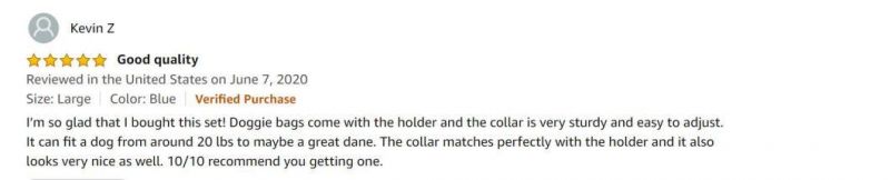 Durable Metal Buckle Adjustable Nylon Dog Collar for Small Dogs