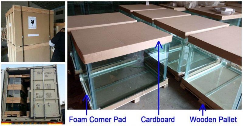 Decorative High Quality Clear Glass Fish Tank Aquarium