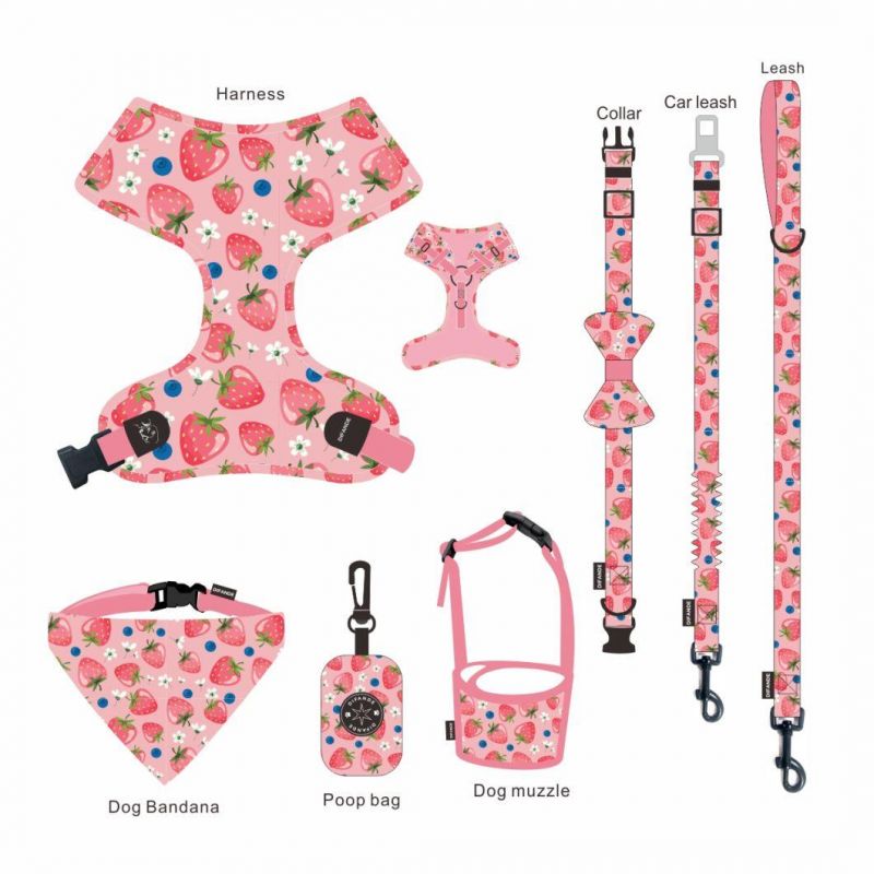 Classical Fruit Soft Padded Dog Collar and Leash for Pet Cat Dog Leash Collar Set