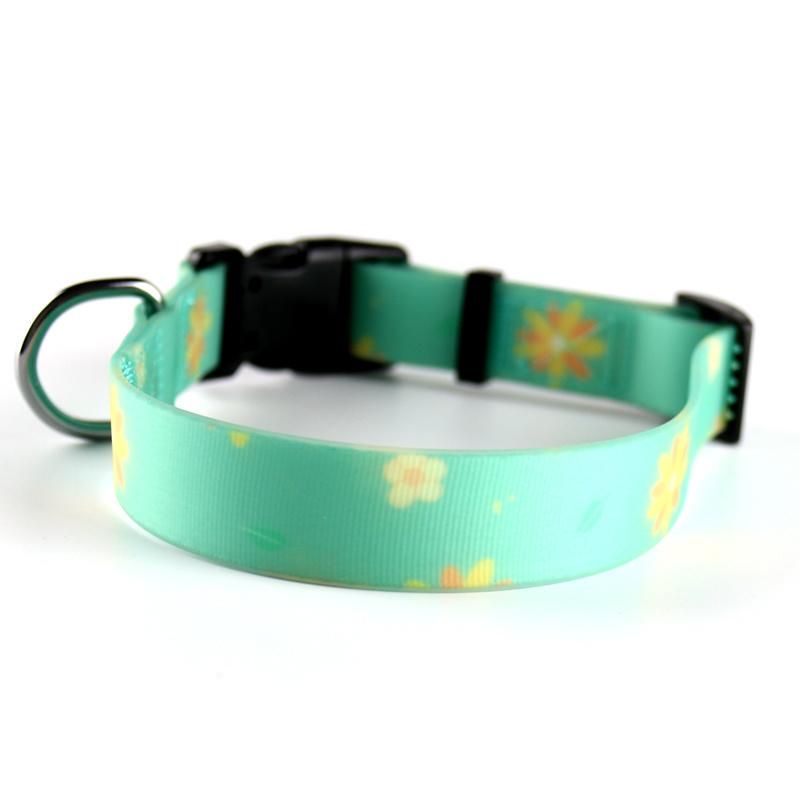 Top Manufacturer Factory Waterproof Dog Collar and Leash Printing Design