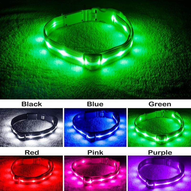 LED Dog Collar-USB Rechargeable with Water Resistant Flashing Light-Xs/S/M/L Size Black