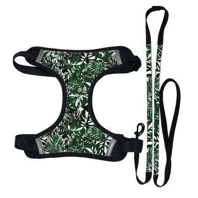 Print Dog Harness 2020 Breathable Padded Dog Harness Manufacturers and Harness and Leash Set