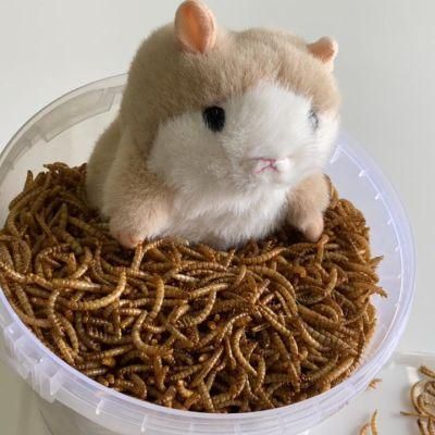Dried Mealworms for Animal Food Hamster Snacks