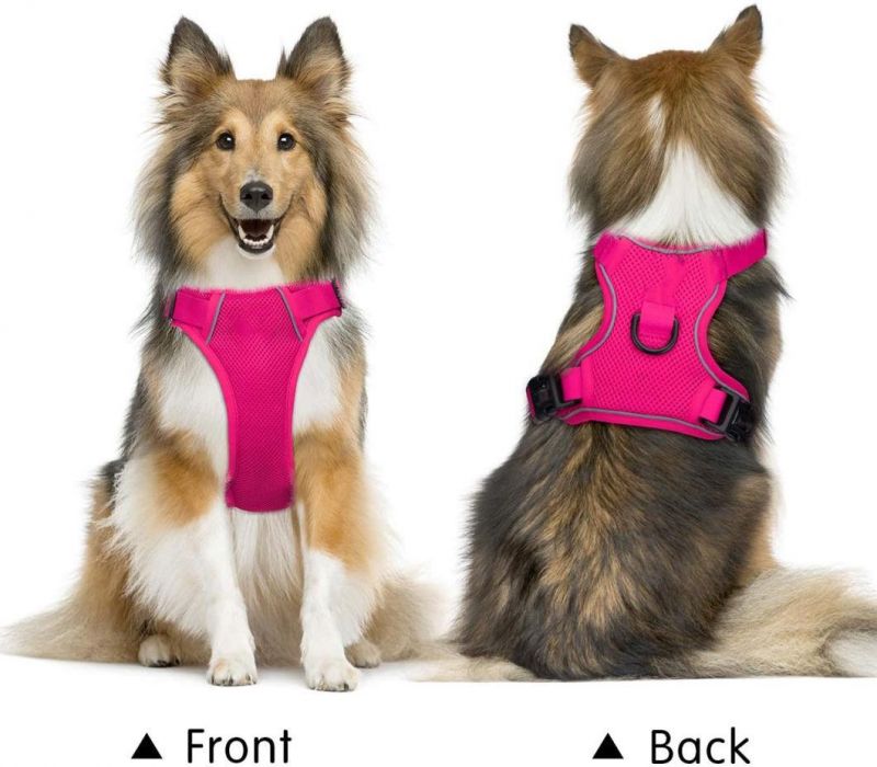 Easy to Put on and Take off Mesh Dog Harness