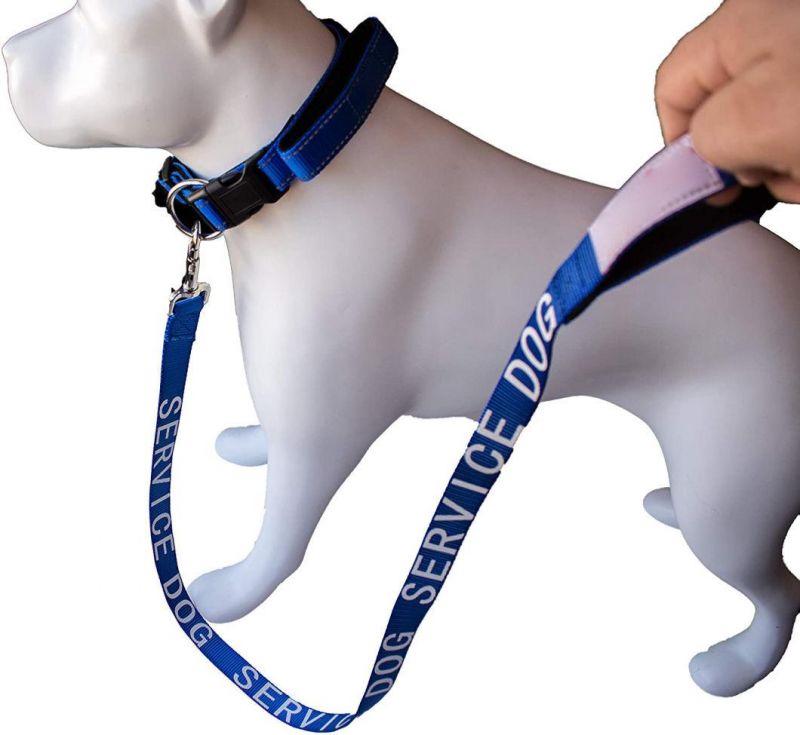 Service Dog Leash Standard Dog Leash One Inch Width, Service Dog Gear
