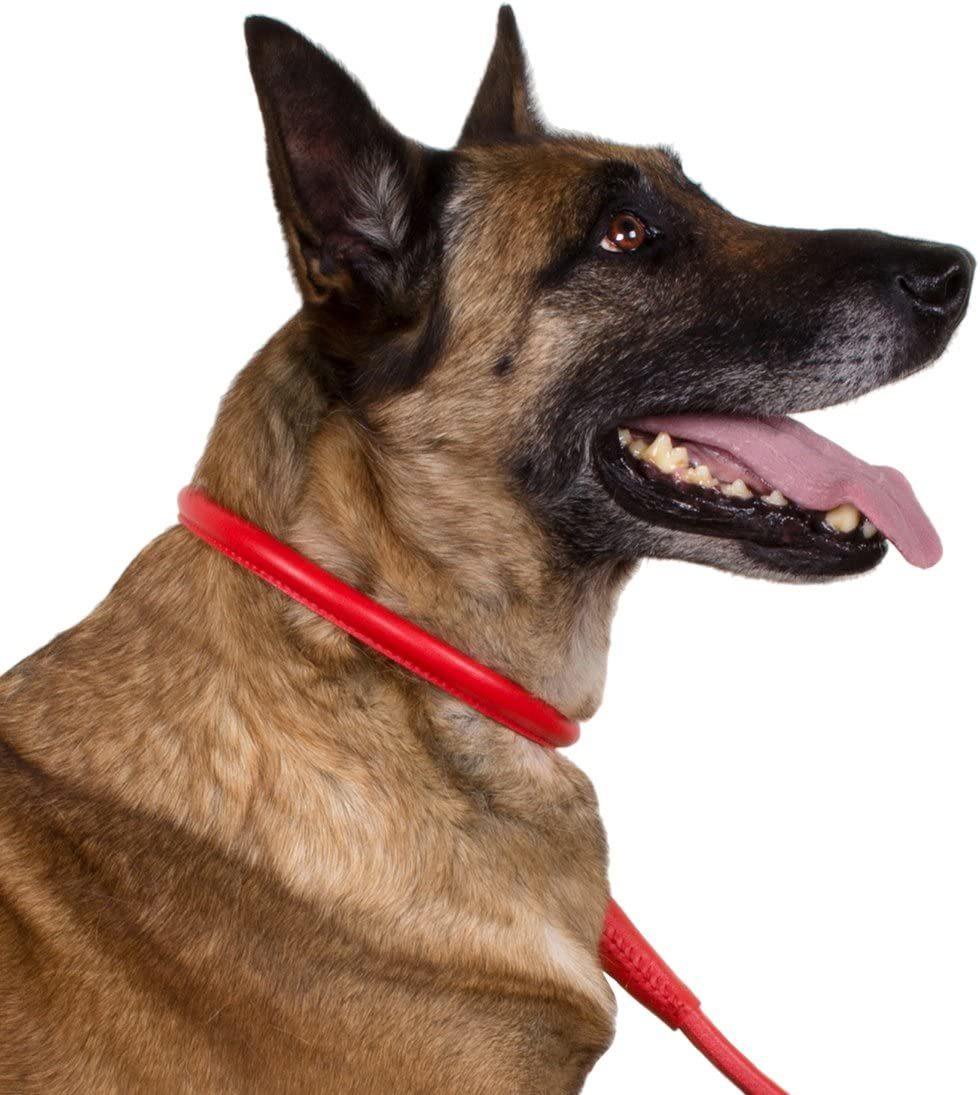 Handmade Strong Durable Leather Dog Collar