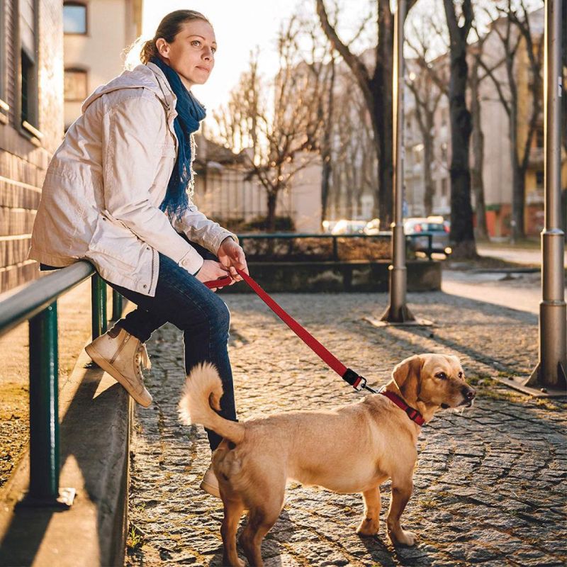 Breathable Comfort Puffy Mesh Pet Dog Leash in Red Color