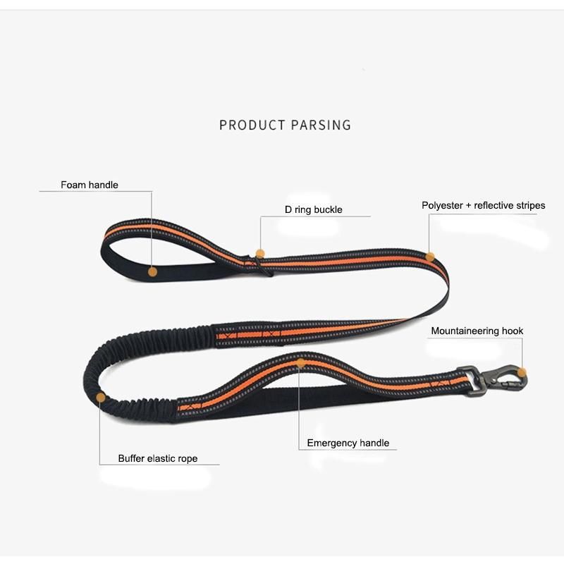 Two Handles Elastic Pet Leash Dog Leash