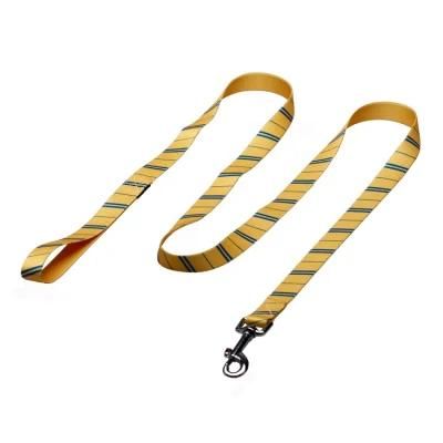 Training Walking Lead Cute Polyester Long Heated Rope Dog Leash for Small Large Dogs