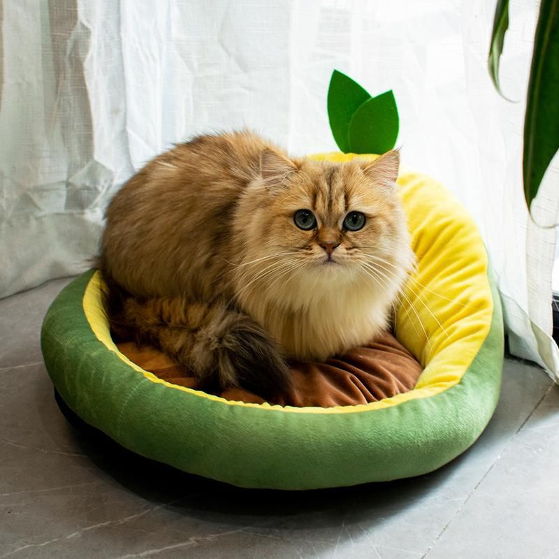 2022 Hot Selling Plush Calm Donut Cat Bed