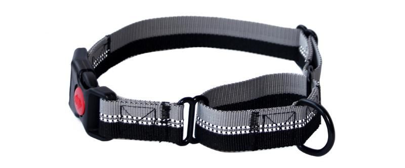 Adjustable Reflective Martingale Dog Collar and Leash with Padded Handle