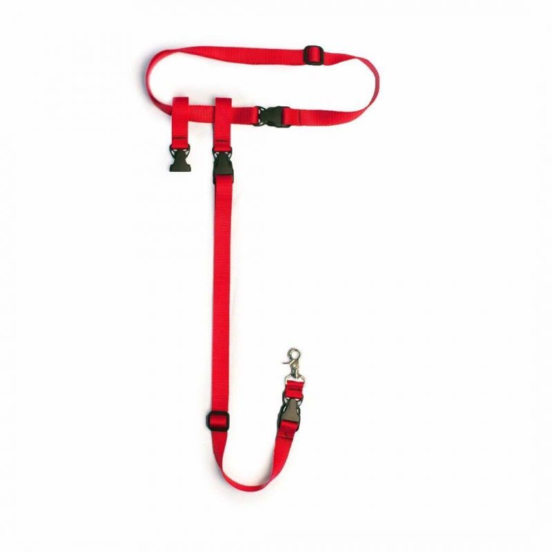 Pets Hands Free Dog Leash Shock Absorbing Extendible Bungee