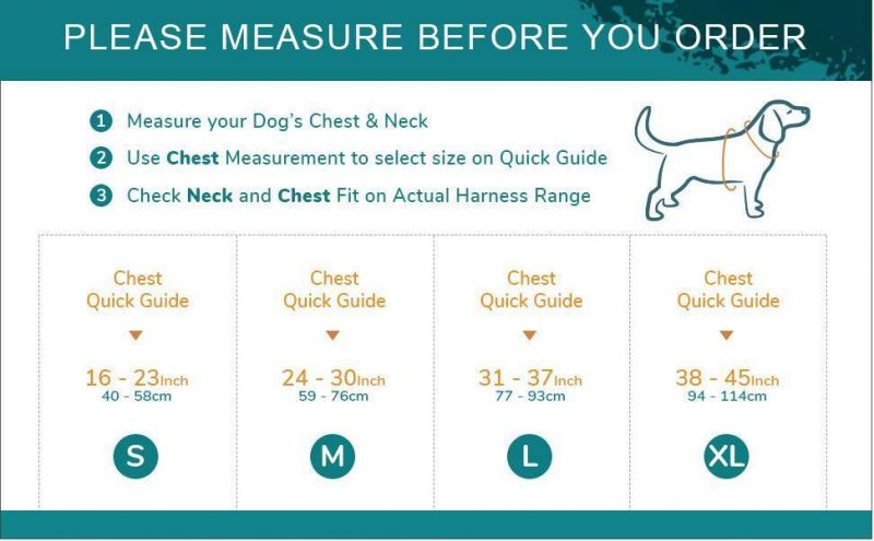 Easy on and off No Pull Training Harness with Front and Back Leash Attachments & Control Handle