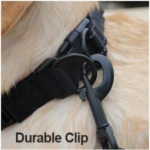 Heavy Duty Rope Dog Leash 1/2" X 6FT Nylon Pet Leash