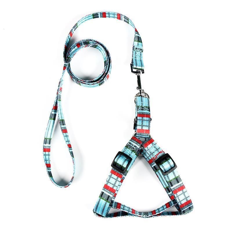 Dog Products, 2021 Hot Selling Pet Products Four Colors New Style / Nylon Dog Leash